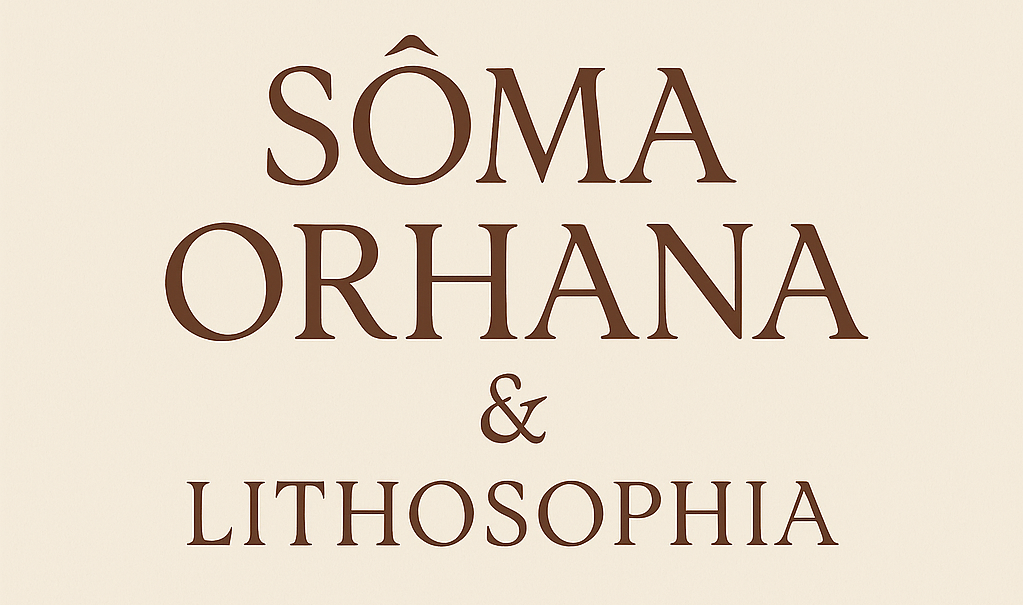 soma-orhana.fr